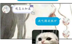 如果被一个有女朋友的男生亲了怎么办？女朋友说轻薄你什么意思