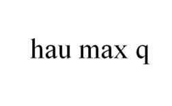 MaxQ是什么意思？max-q技术什么意思