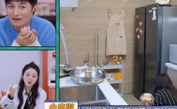 求娱乐圈文名字甜宠无虐女主厨艺很好，会带电饭煲去剧组做饭？家用娱乐笔记本推荐